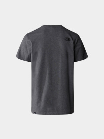 Футболка The North Face Simple Dome модель NF0A87NGDYY1 Фото