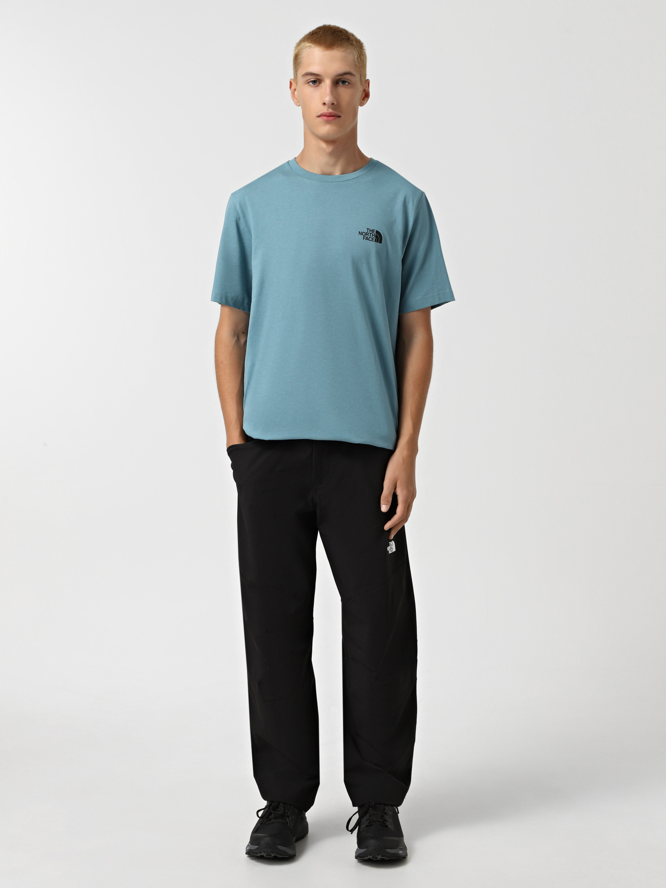 Футболка The North Face Simple Dome модель NF0A87NG1OM1 Фото