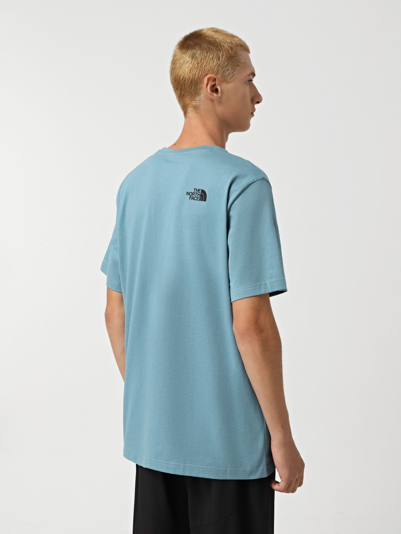 Футболка The North Face Simple Dome модель NF0A87NG1OM1 Фото