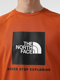 Футболка The North Face Raglan Redbox модель NF0A87NJ1I01 Фото