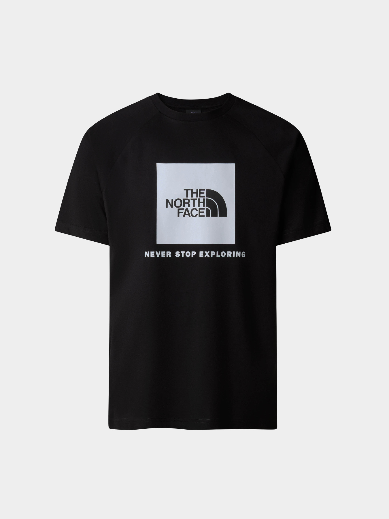 Футболка The North Face Raglan Redbox модель NF0A87NJJK31 Фото