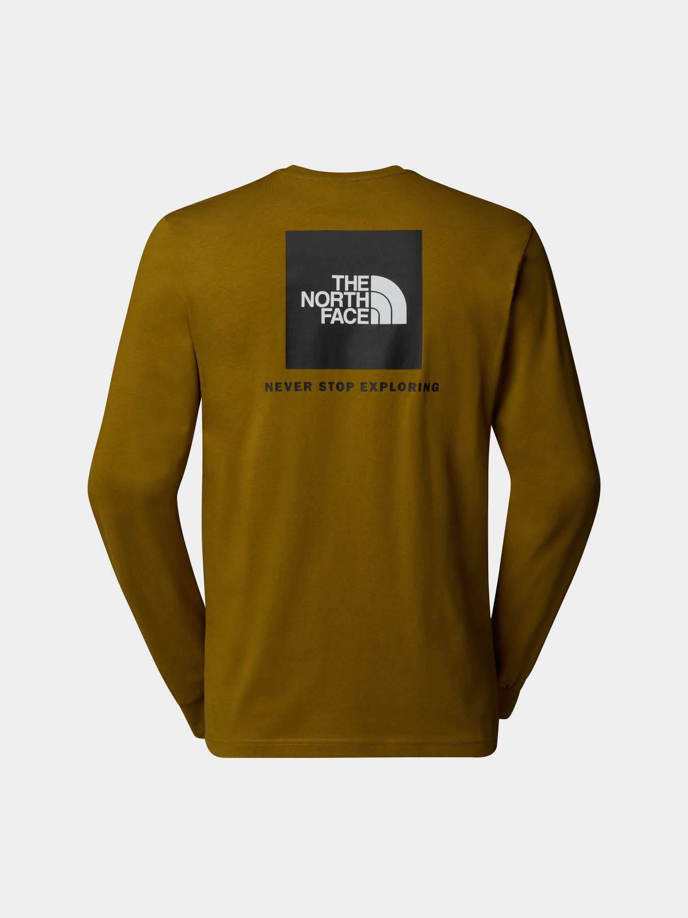 Лонгслів The North Face Redbox модель NF0A87NN1OB1 Фото