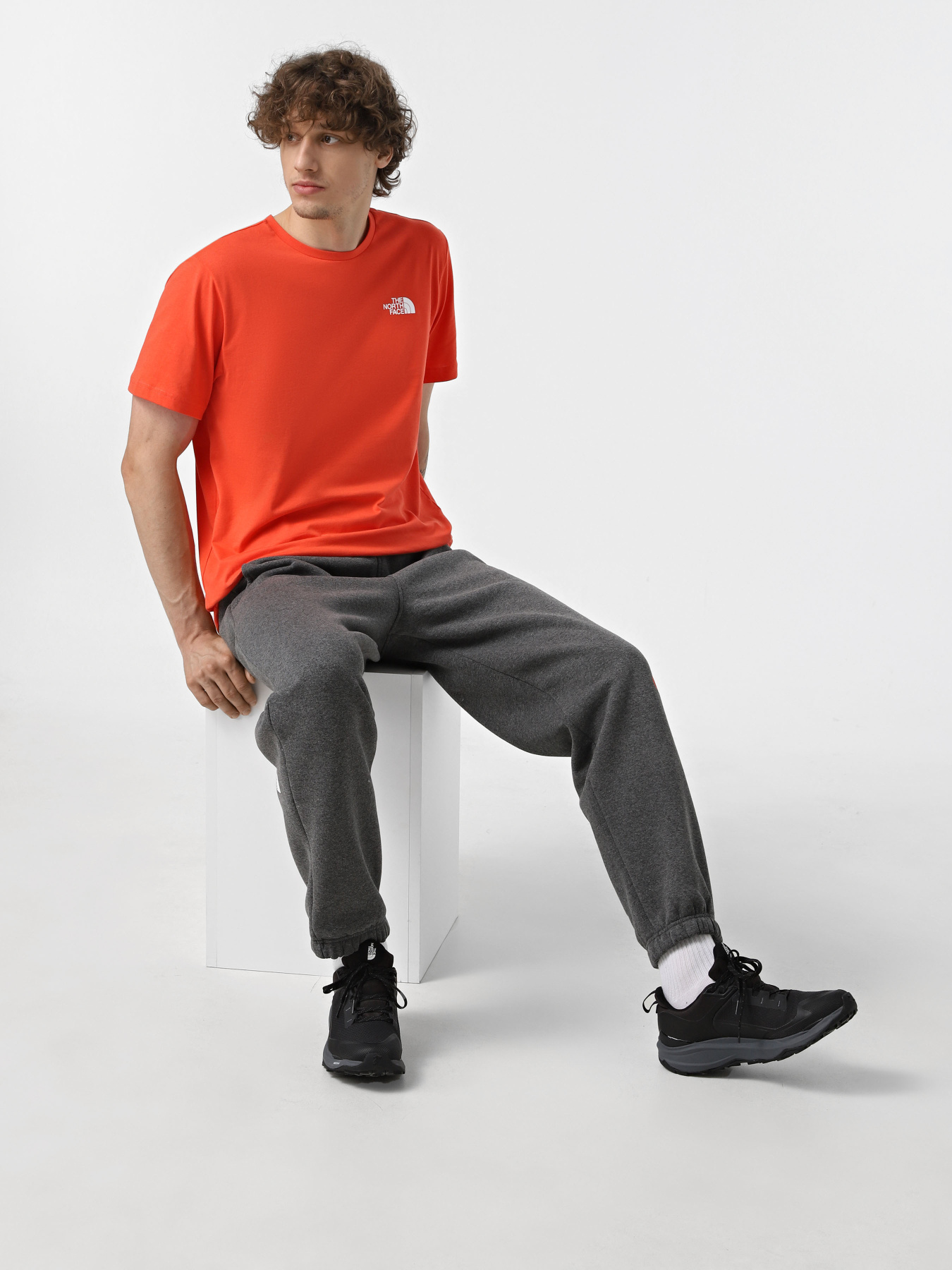 Футболка The North Face Redbox Модель NF0A87NP5OM1 Фото