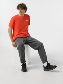 Футболка The North Face Redbox Модель NF0A87NP5OM1 Фото