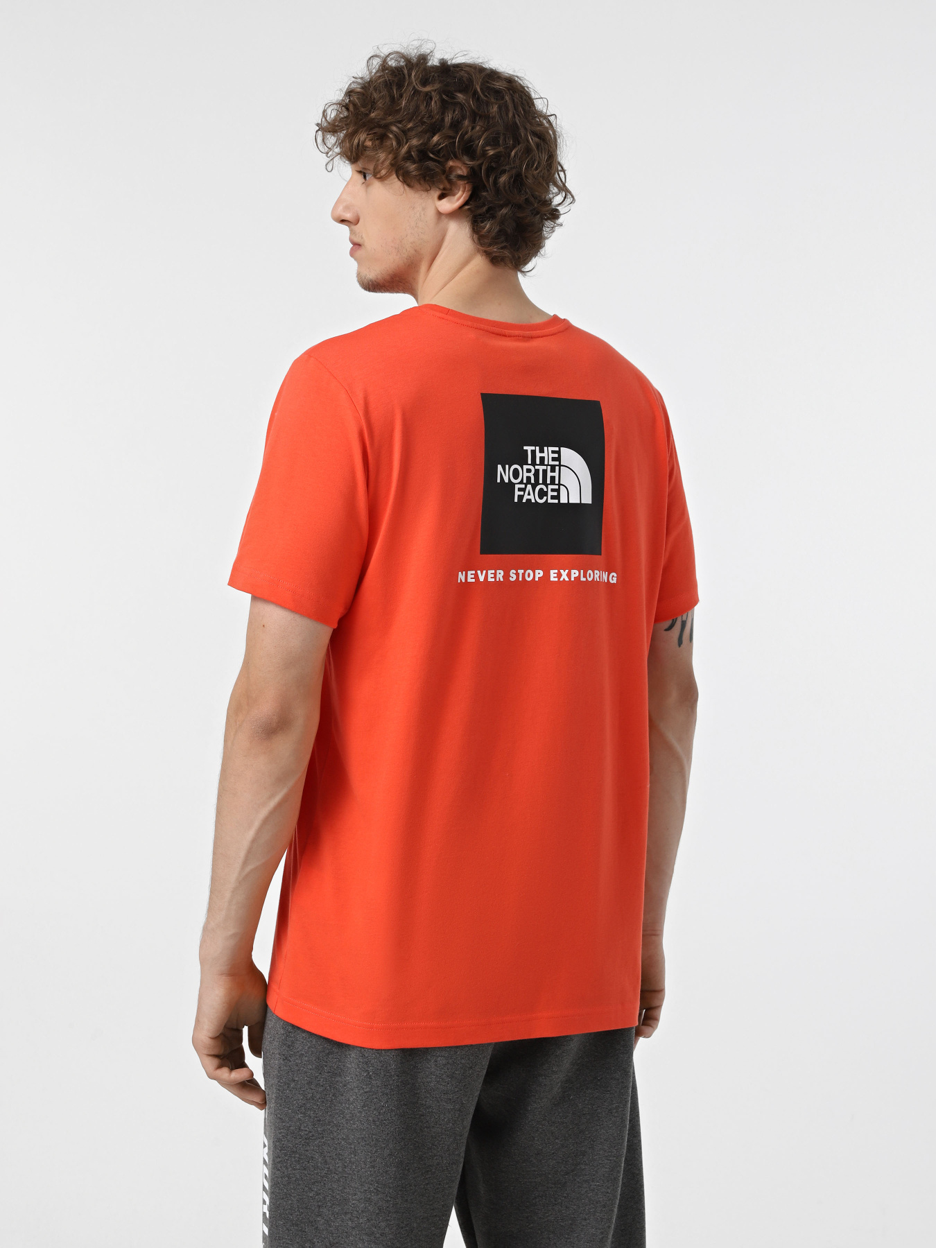 Футболка The North Face Redbox модель NF0A87NP5OM1 Фото