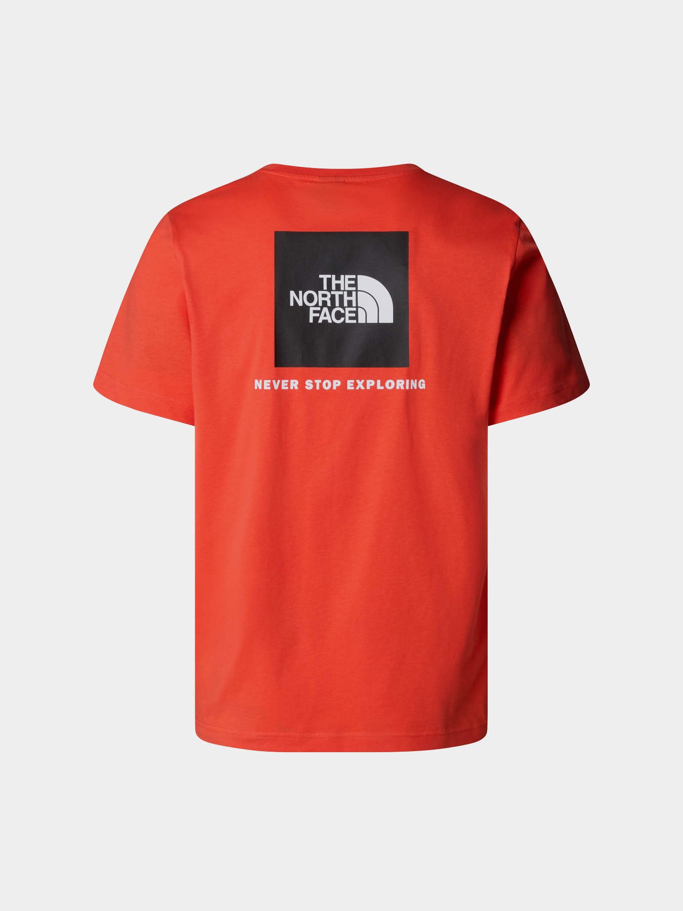 Футболка The North Face Redbox модель NF0A87NP5OM1 Фото