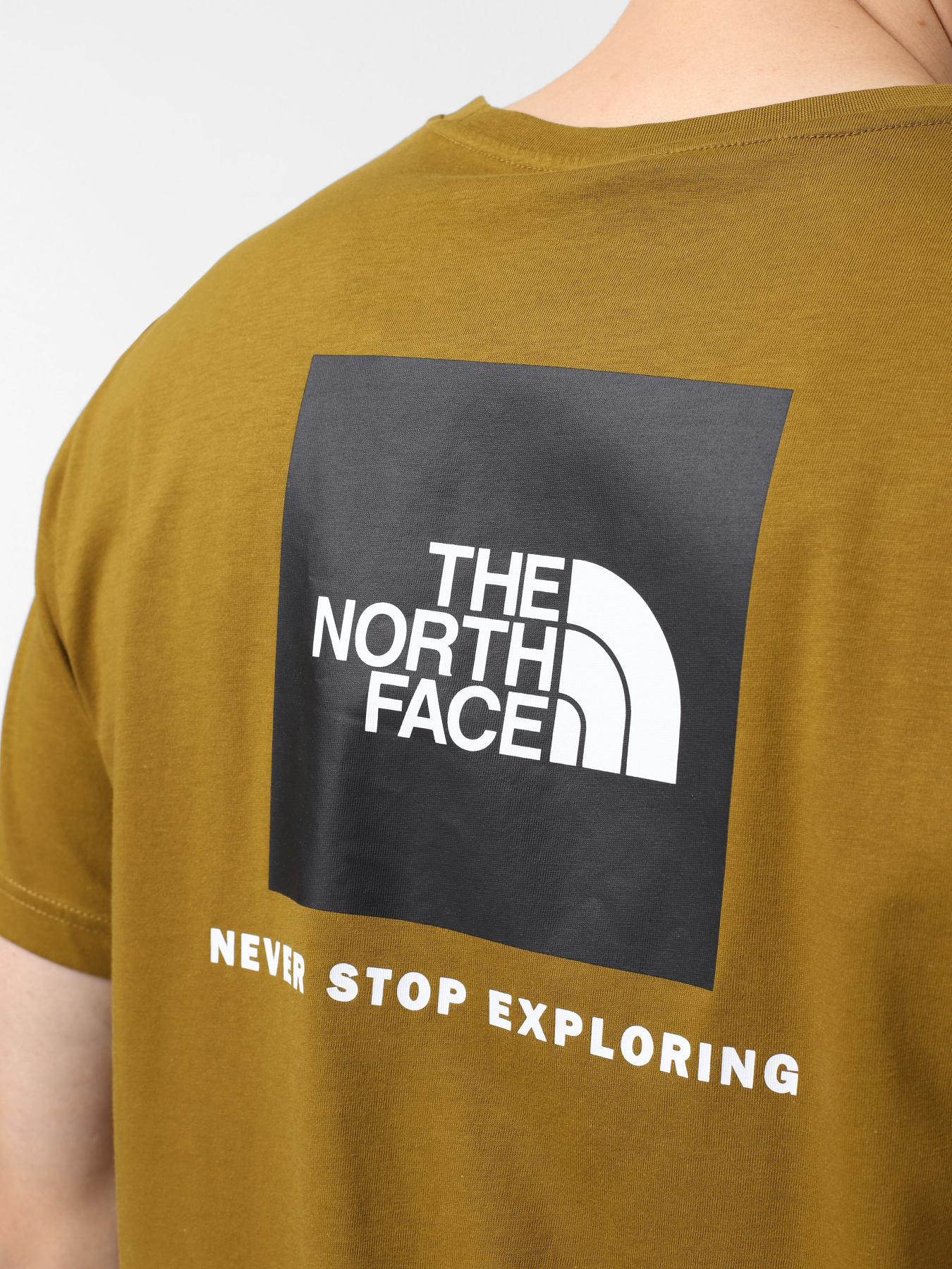 Футболка The North Face Redbox модель NF0A87NP5HO1 Фото