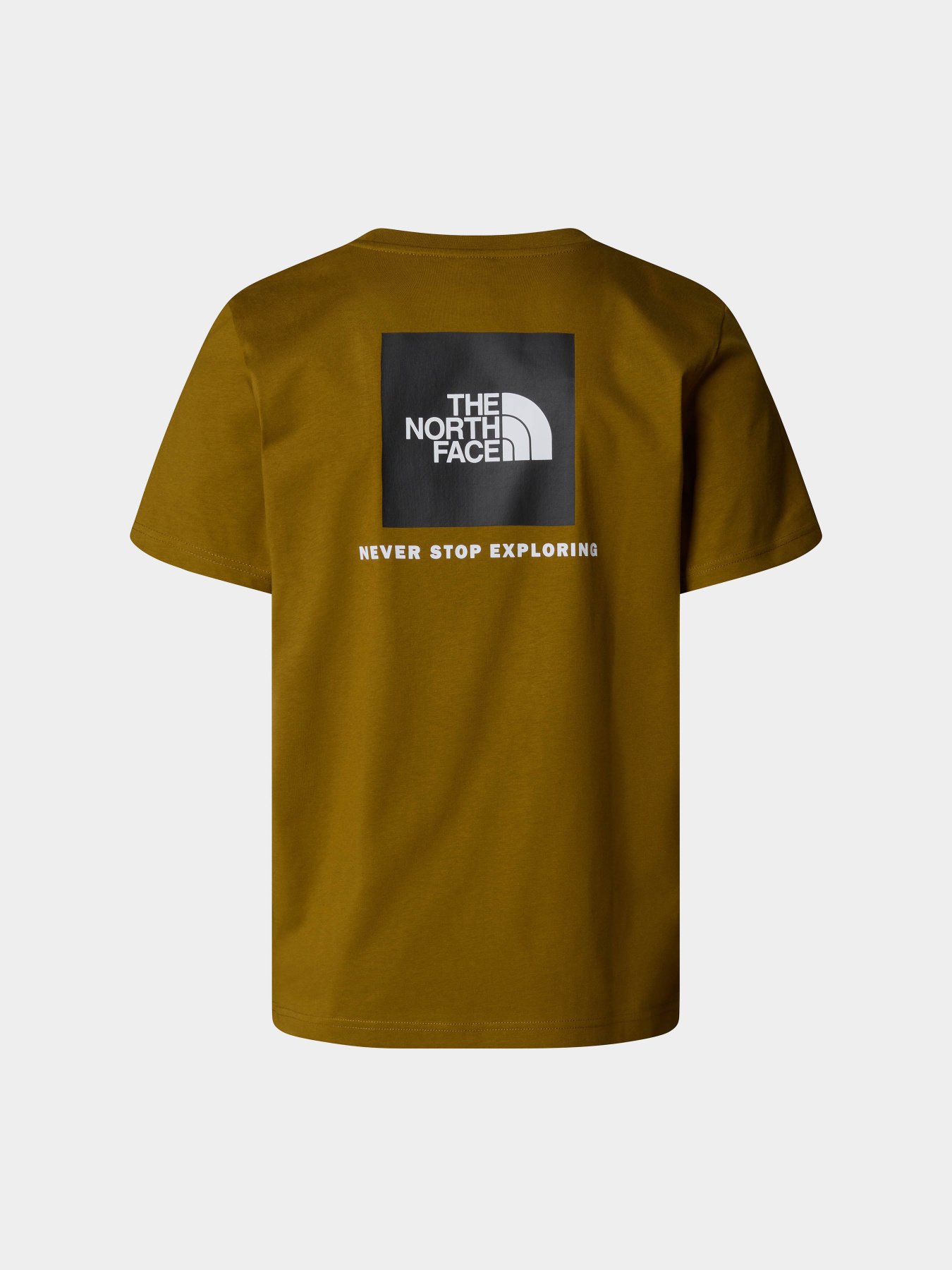 Футболка The North Face Redbox модель NF0A87NP5HO1 Фото