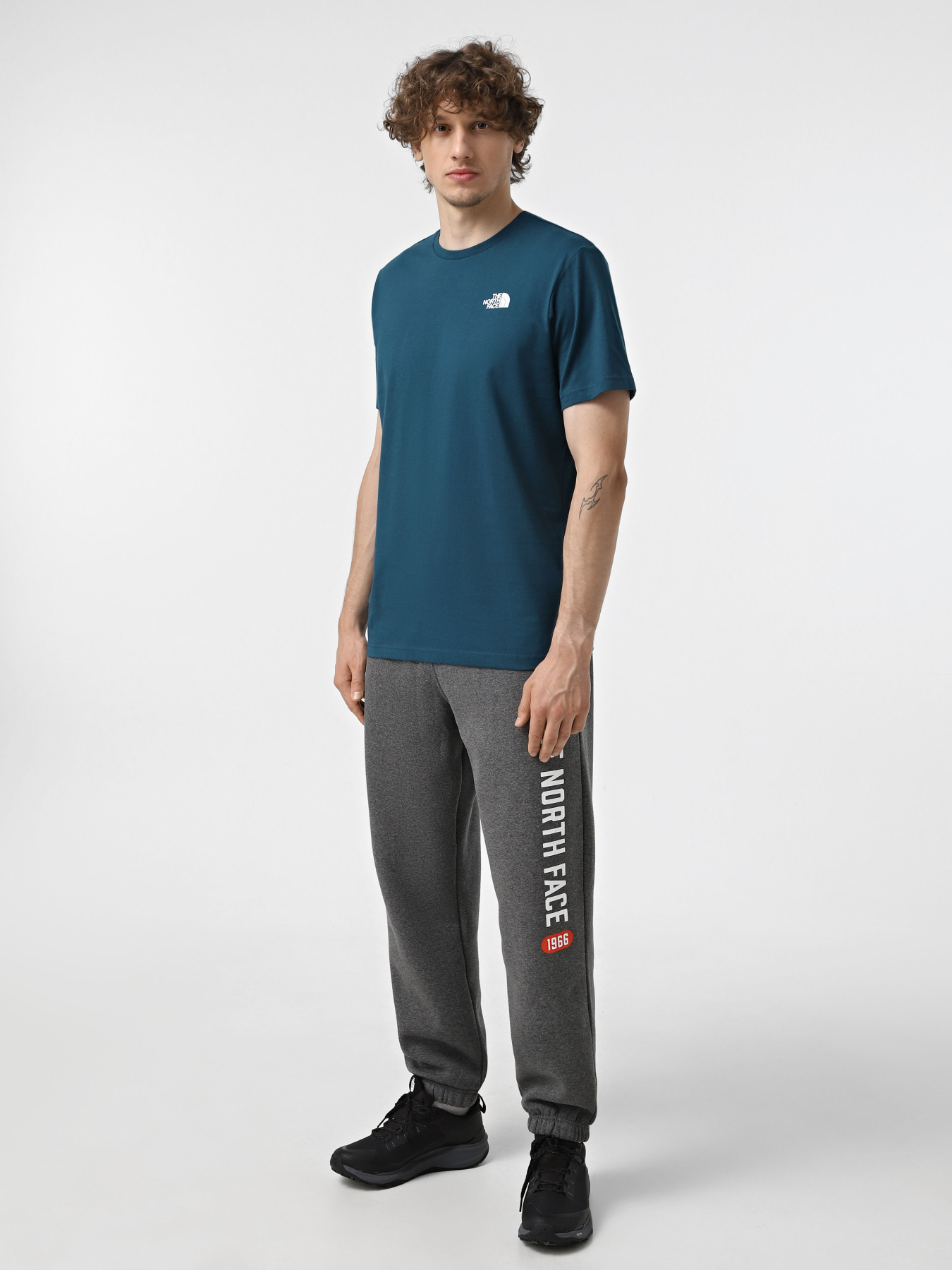 Футболка The North Face Redbox модель NF0A87NP9IW1 Фото