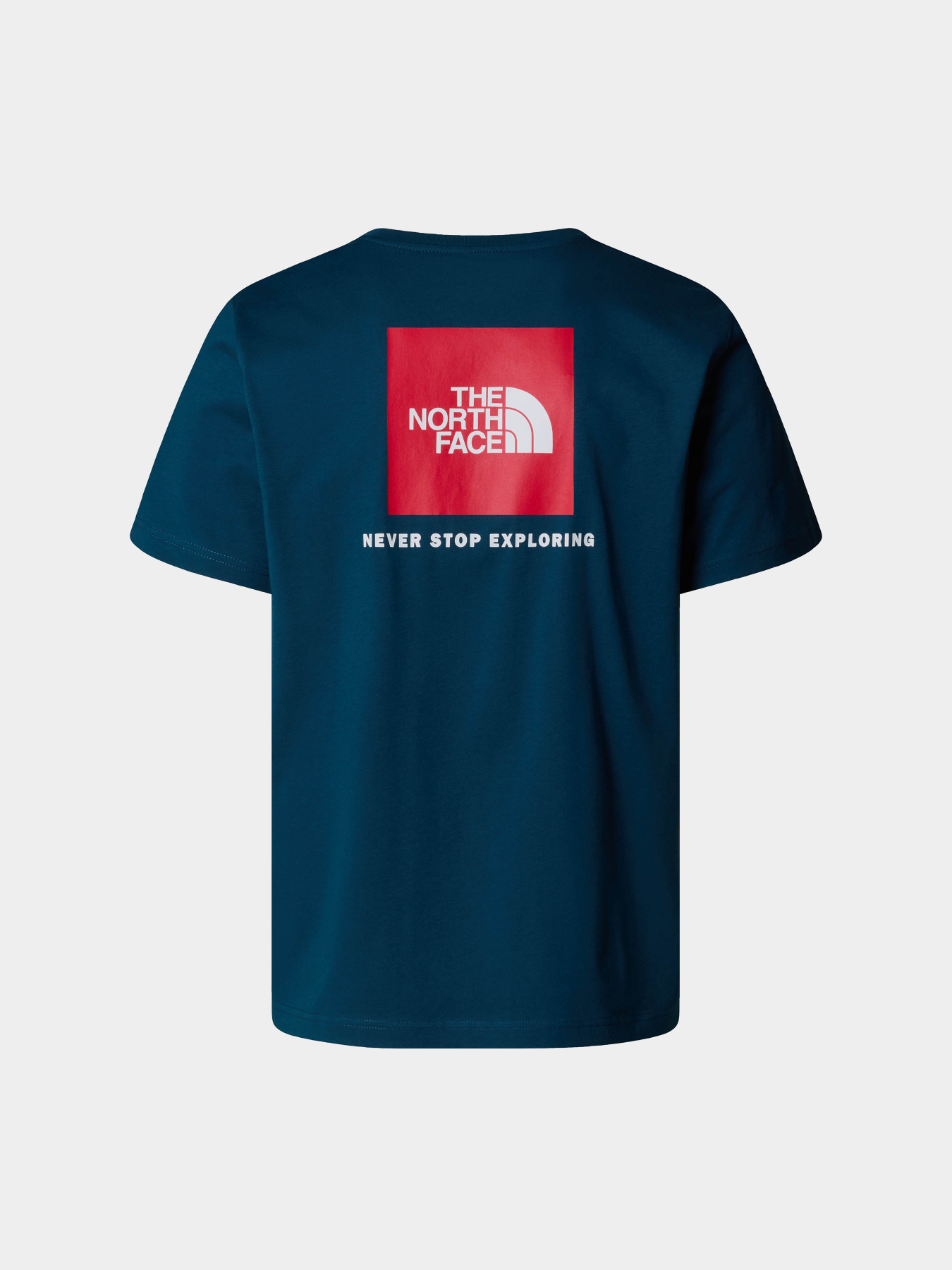 Футболка The North Face Redbox модель NF0A87NP9IW1 Фото