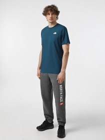 Футболка The North Face Redbox модель NF0A87NP9IW1 Фото