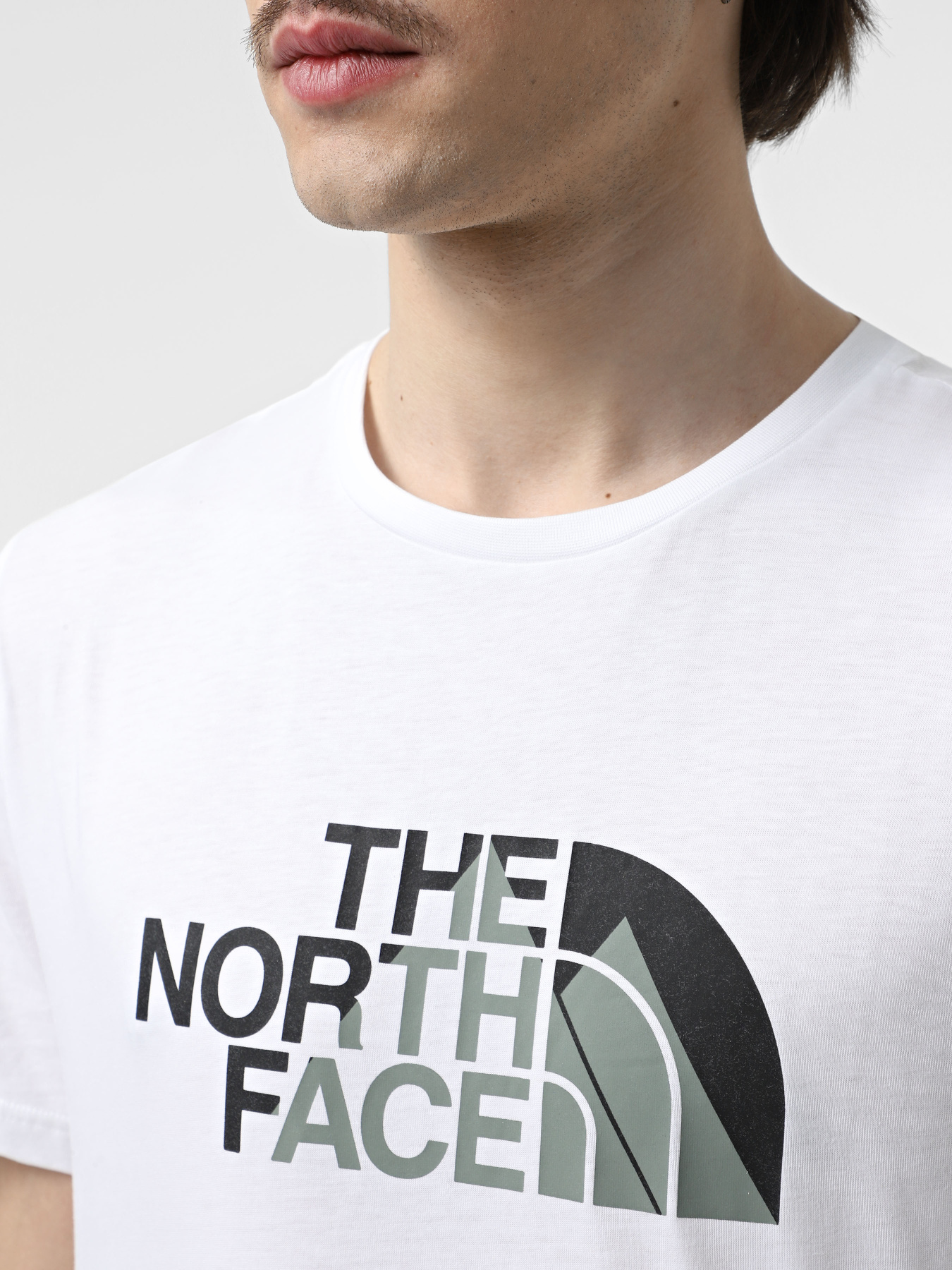 Футболка The North Face Biner Graphic 1 модель NF0A894XFN41 Фото