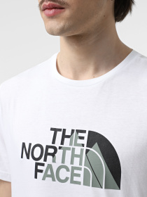 Футболка The North Face Biner Graphic 1 модель NF0A894XFN41 Фото