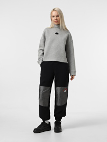 Свитшот The North Face Mock Neck Relaxed модель NF0A89C1EC41 Фото