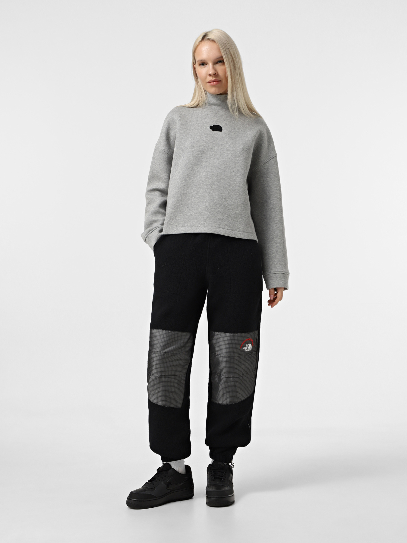 Свитшот The North Face Mock Neck Relaxed модель NF0A89C1EC41 Фото