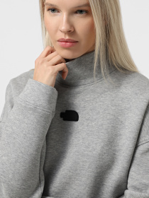Свитшот The North Face Mock Neck Relaxed модель NF0A89C1EC41 Фото