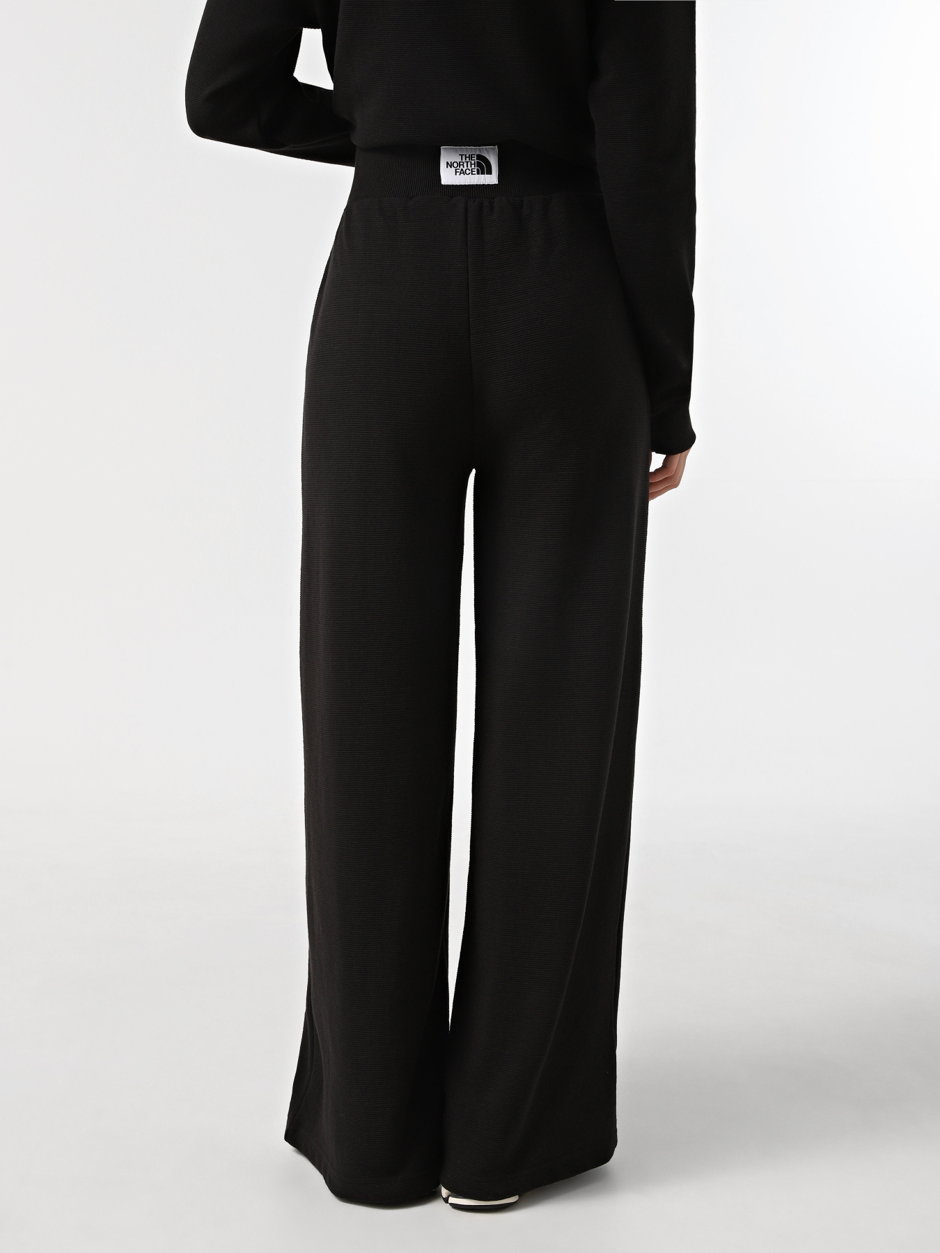 Брюки повседневные The North Face Hoden модель NF0A89CHJK31 Фото