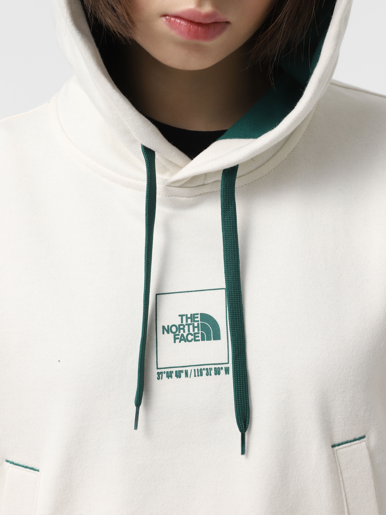 Худи The North Face Coordinates модель NF0A89CKQLI1 Фото