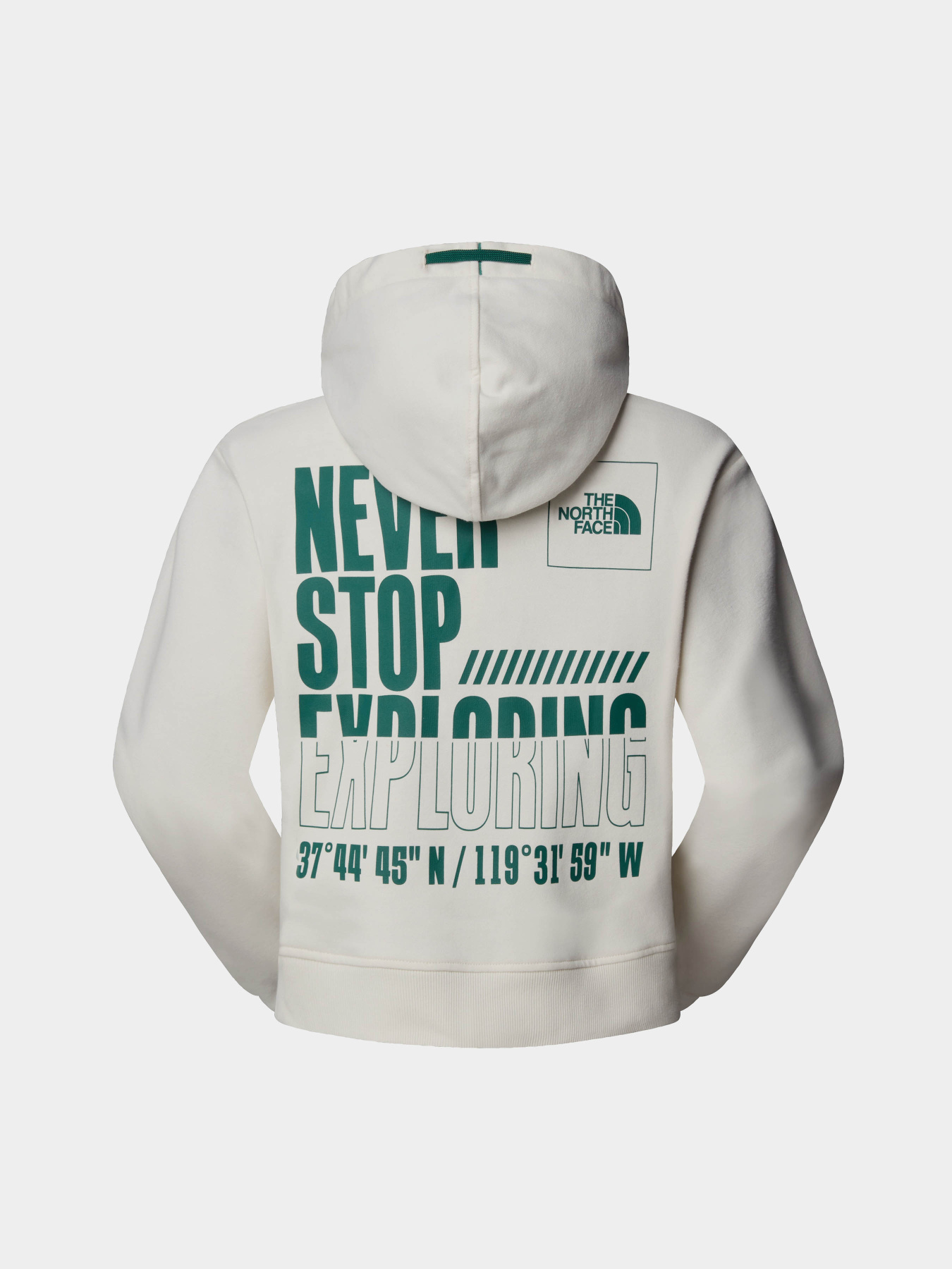 Худі The North Face Coordinates модель NF0A89CKQLI1 Фото