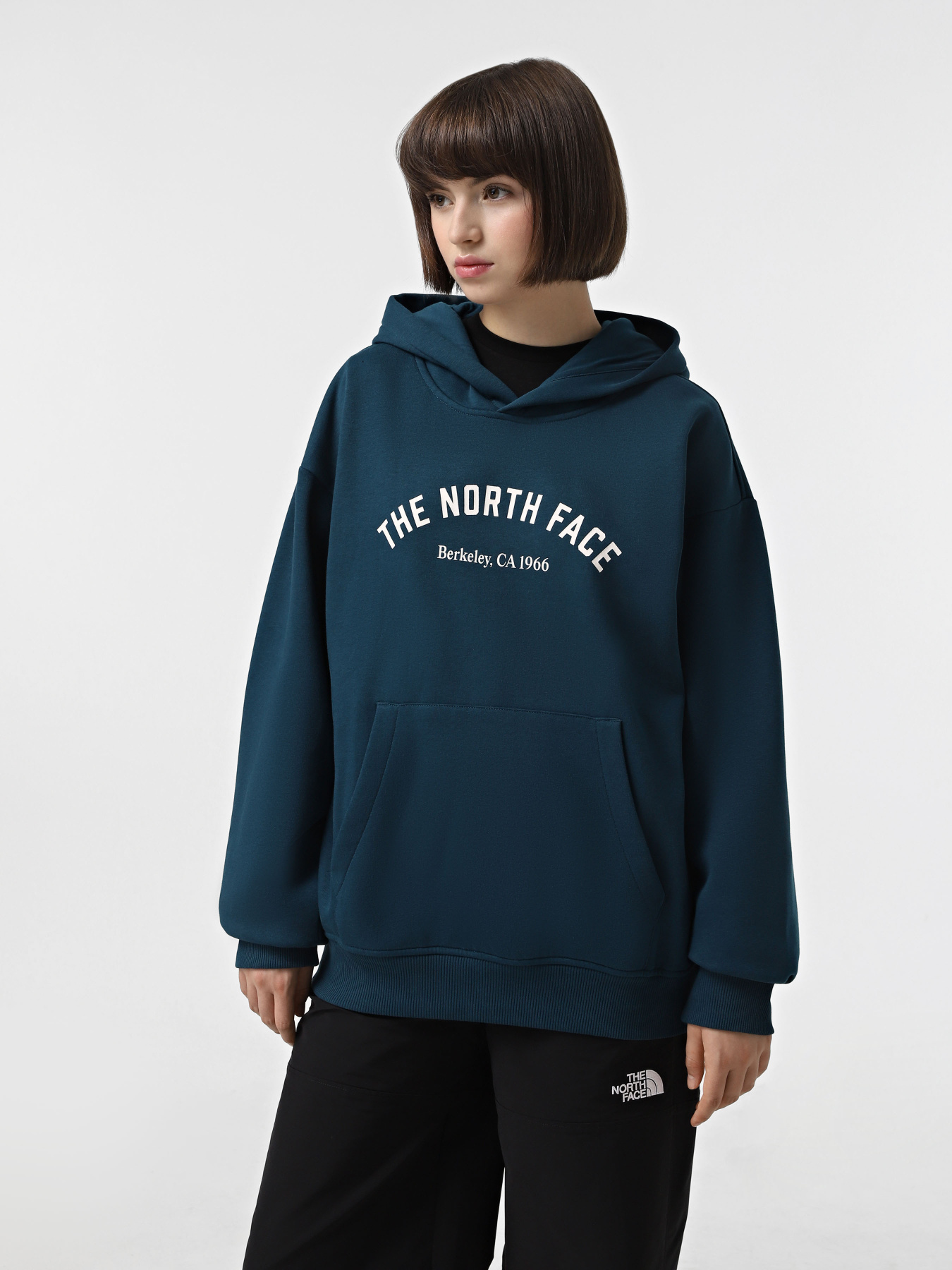 Худі The North Face Graphic модель NF0A89CS1NO1 Фото