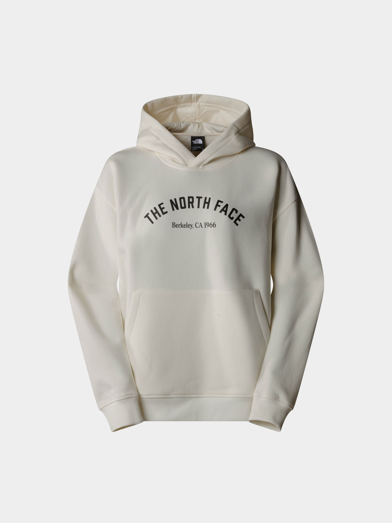 Худи The North Face Graphic модель NF0A89CSQLI1 Фото