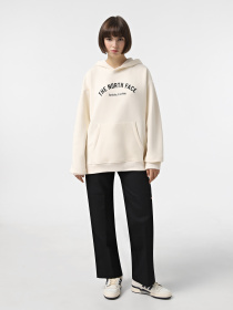 Худі The North Face Graphic модель NF0A89CSQLI1 Фото