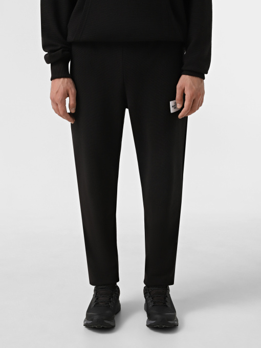 Джоггеры The North Face Hoden модель NF0A89CZJK31 Фото