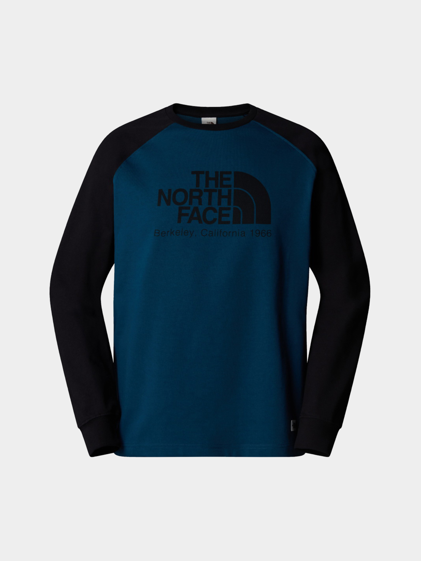 Лонгслив The North Face Heritage модель NF0A89D05LO1 Фото