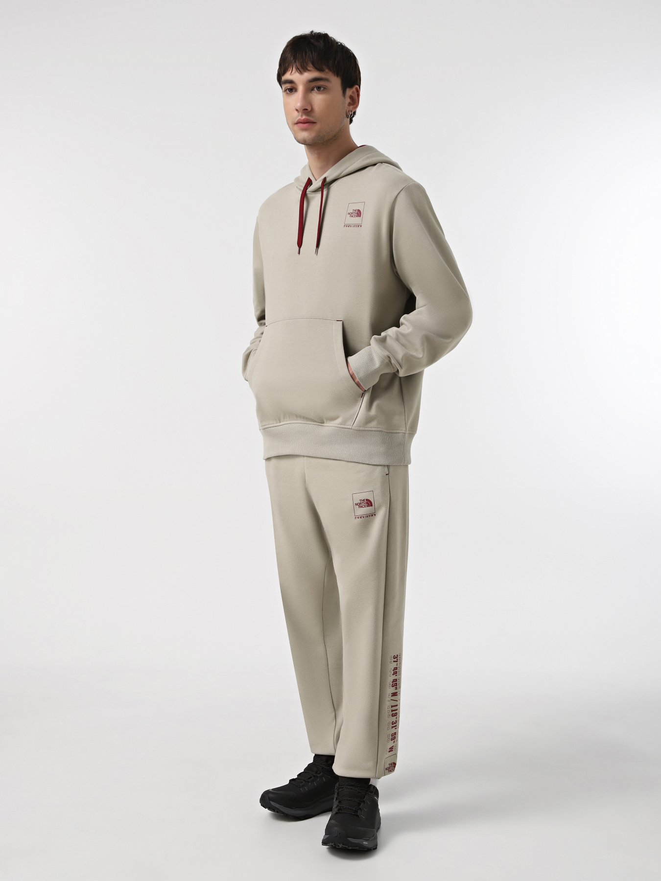 Худи The North Face Coordinates модель NF0A89D91I41 Фото