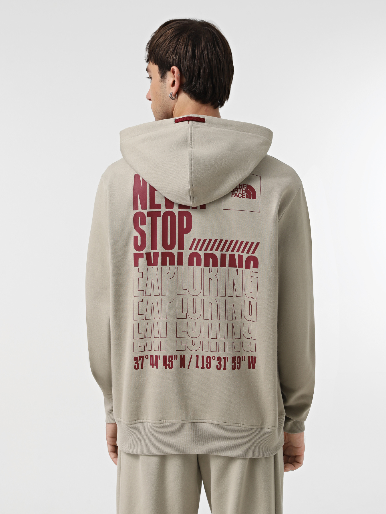 Худи The North Face Coordinates модель NF0A89D91I41 Фото