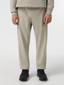 Джоггеры The North Face Coordinates модель NF0A89DB1I41 Фото