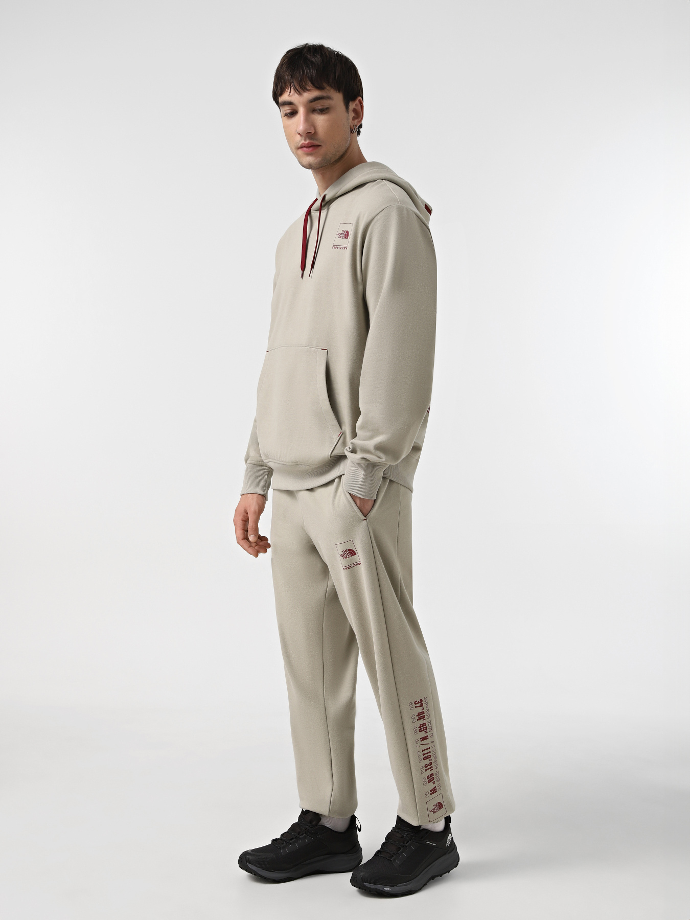 Джогери The North Face Coordinates модель NF0A89DB1I41 Фото