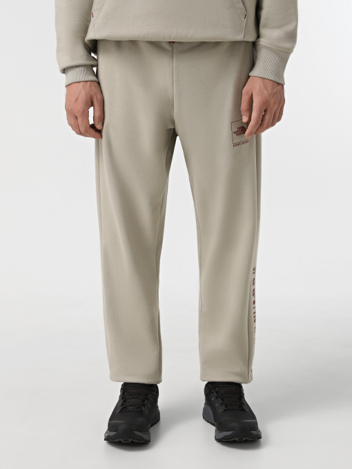 Джогери The North Face Coordinates модель NF0A89DB1I41 Фото