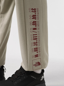 Джогери The North Face Coordinates модель NF0A89DB1I41 Фото