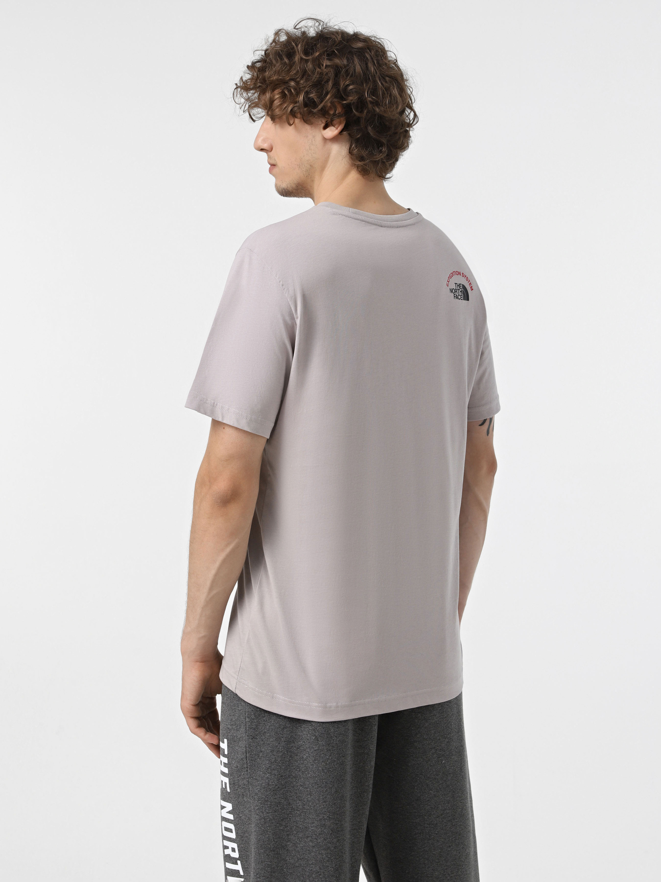 Футболка The North Face Expedition System Graphic модель NF0A89DC1OA1 Фото