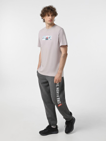 Футболка The North Face Expedition System Graphic модель NF0A89DC1OA1 Фото