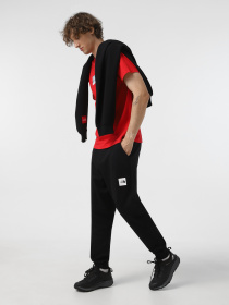 Футболка The North Face Expedition System Graphic модель NF0A89DC6821 Фото