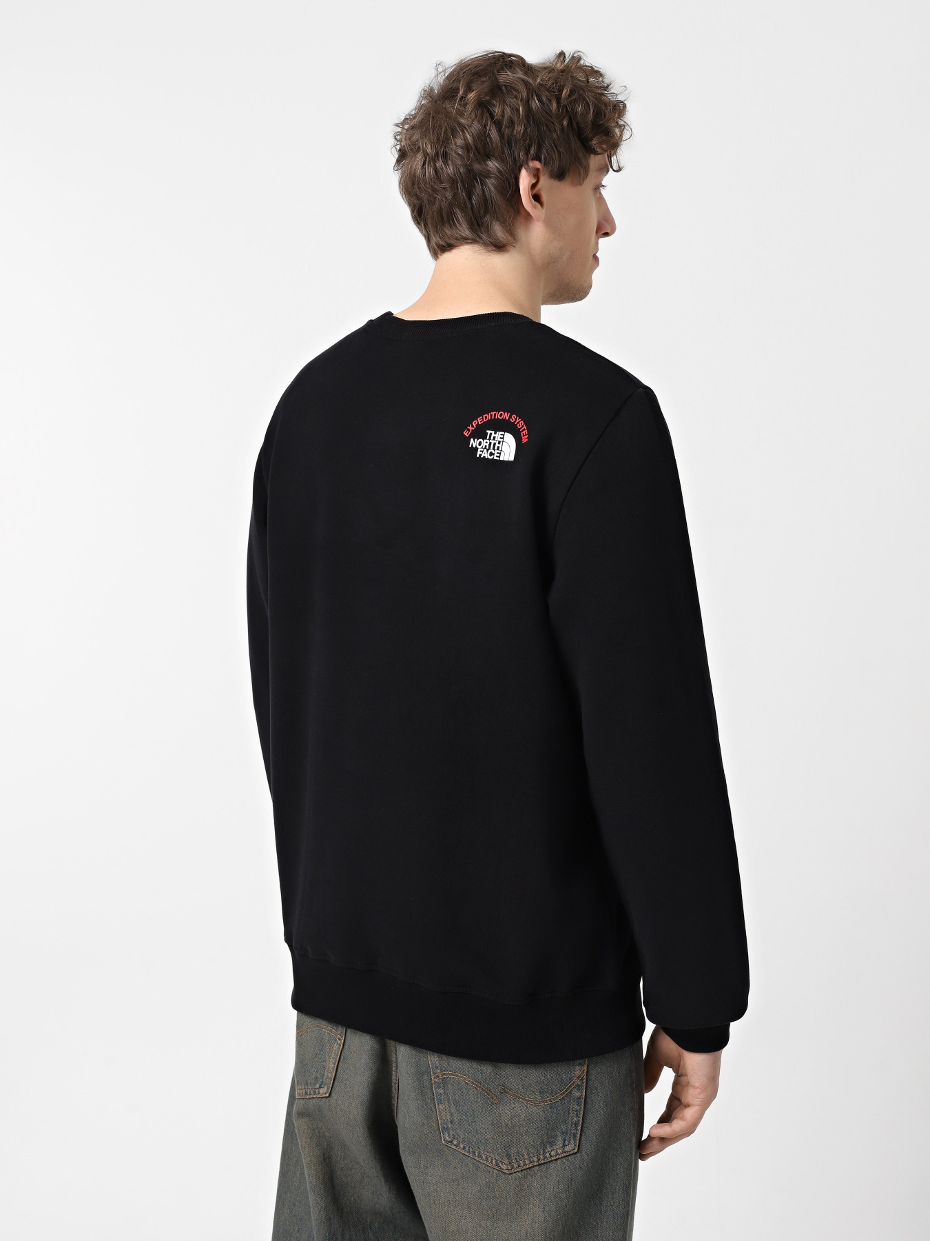 Свитшот The North Face Expedition System Graphic модель NF0A89DDJK31 Фото