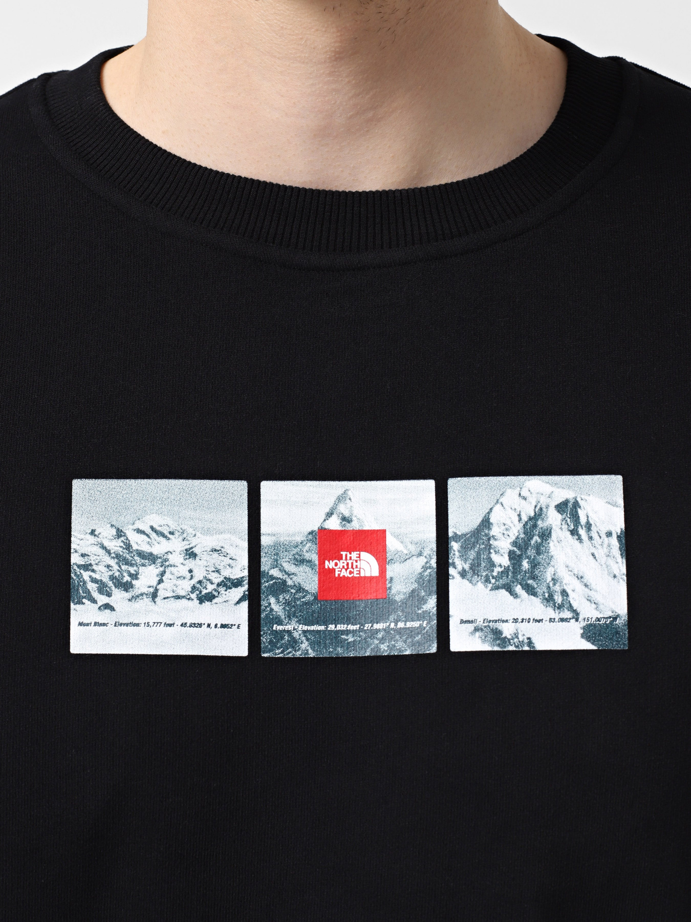 Свитшот The North Face Expedition System Graphic модель NF0A89DDJK31 Фото