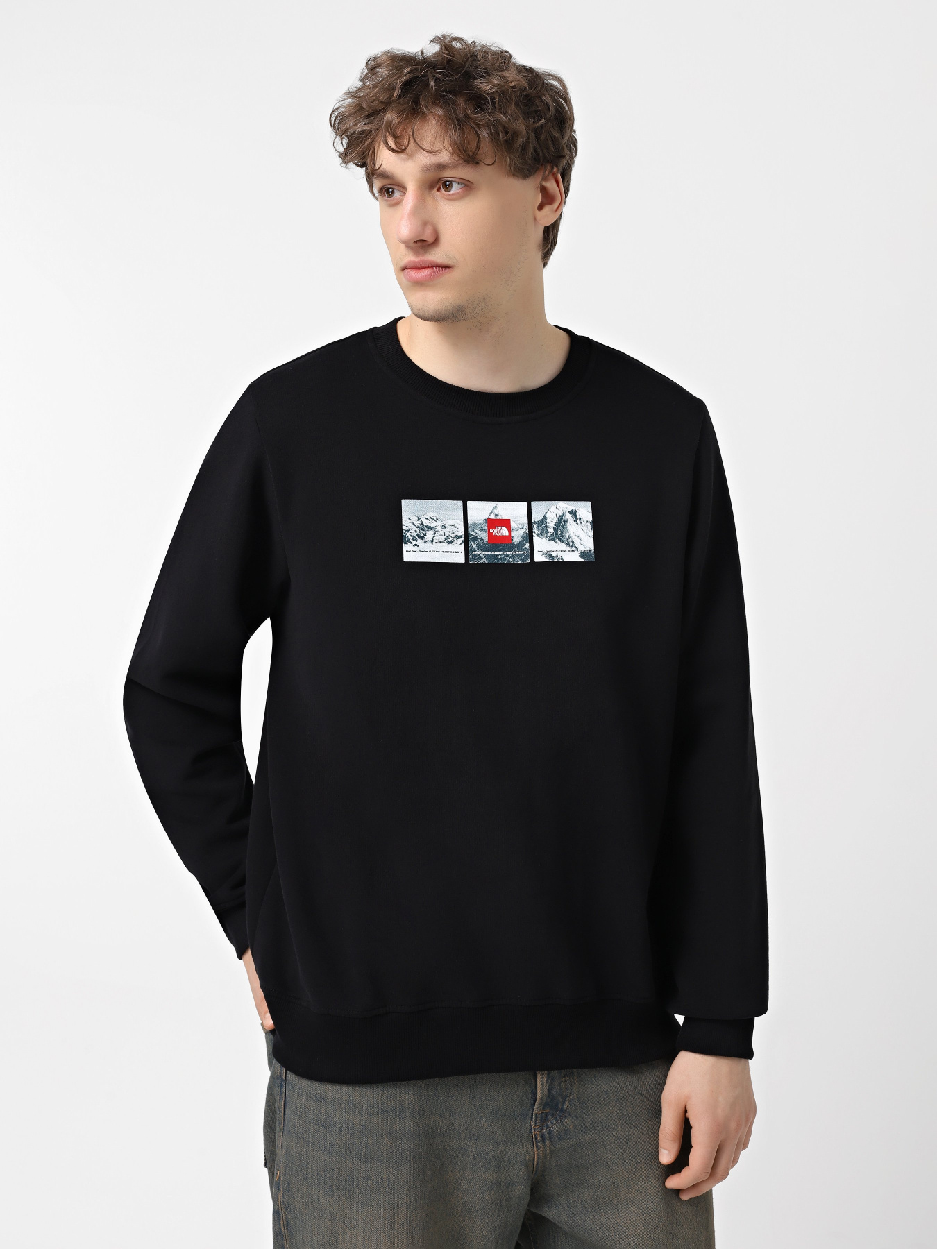 Свитшот The North Face Expedition System Graphic модель NF0A89DDJK31 Фото