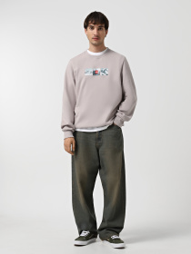 Свитшот The North Face Crew Expedition System Graphic модель NF0A89DD1OA1 Фото