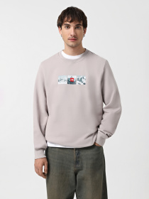 Свитшот The North Face Crew Expedition System Graphic модель NF0A89DD1OA1 Фото