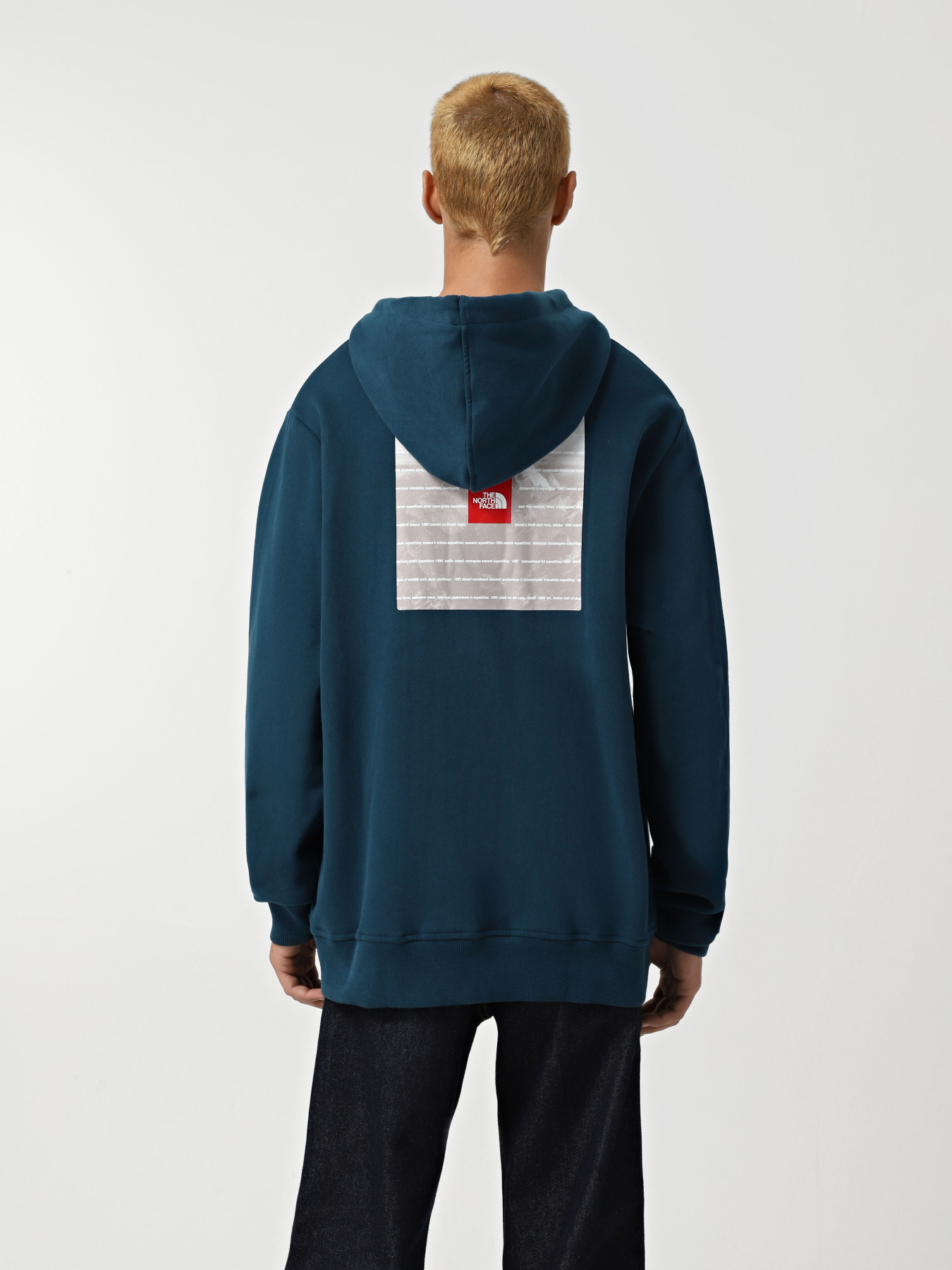 Худи The North Face Expedition System Graphic модель NF0A89DE1NO1 Фото