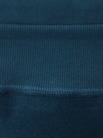 Худи The North Face Expedition System Graphic модель NF0A89DE1NO1 Фото