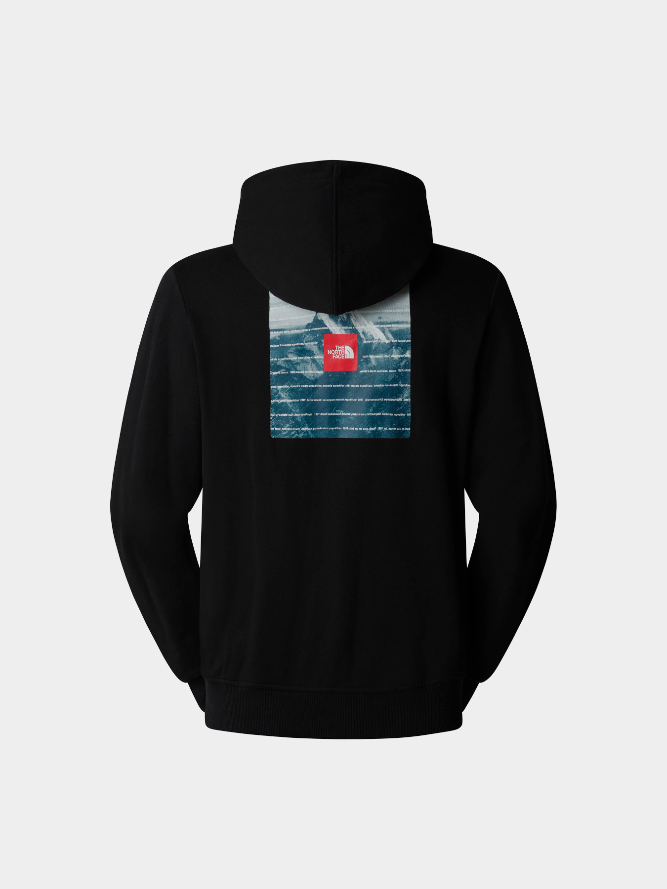 Худи The North Face модель NF0A89DEJK31 Фото