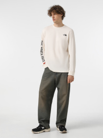 Лонгслив The North Face Varsity Graphic модель NF0A89DHQLI1 Фото