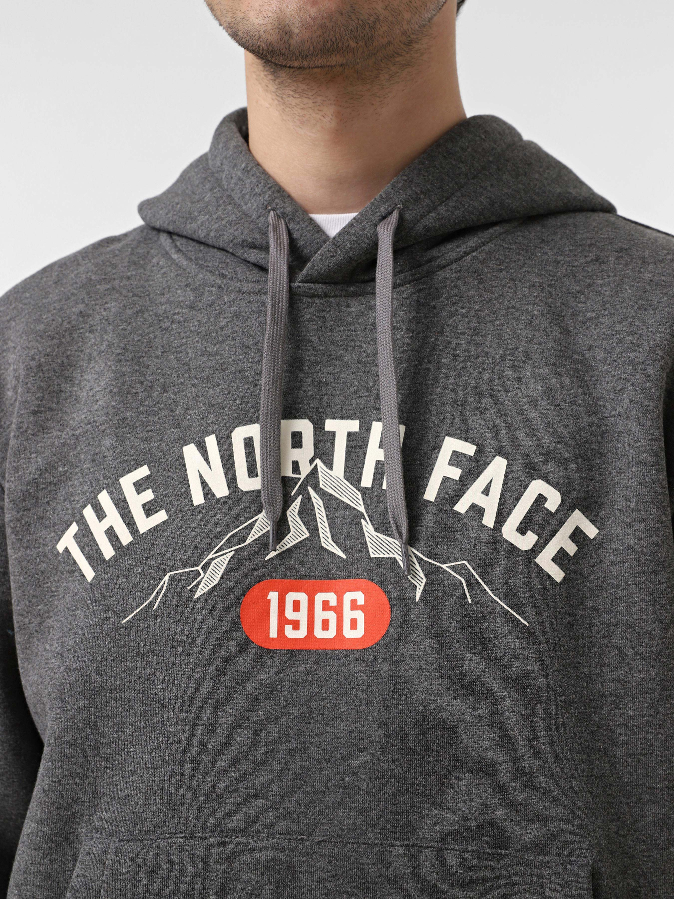 Худі The North Face Varsity Graphic модель NF0A89DJDYY1 Фото