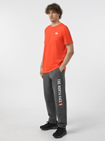 Джоггеры The North Face Graphic модель NF0A89DPDYY1 Джоггеры The North Face Graphic модель NF0A89DPDYY1 Фото