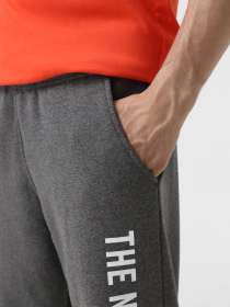 Джоггеры The North Face Graphic модель NF0A89DPDYY1 Джоггеры The North Face Graphic модель NF0A89DPDYY1 Фото