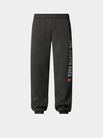 Брюки The North Face Graphic модель NF0A89DPDYY1 Фото